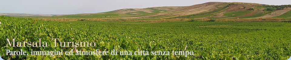 Vigneti del marsalese