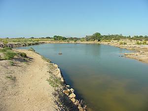 Mozia, il Cothon (bacino artificiale)